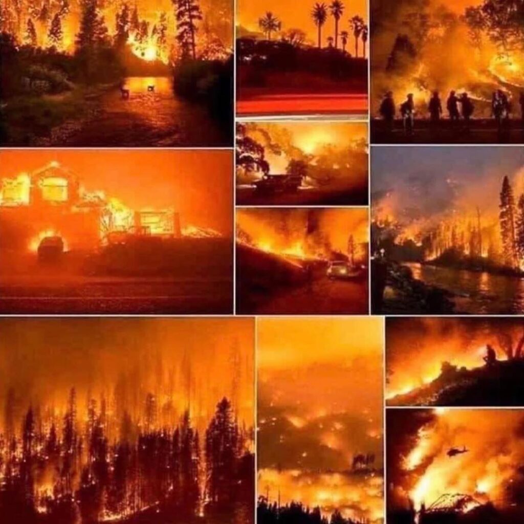 it’s moments like these where we ask ourselves,
“is any of this normal??”
alway...