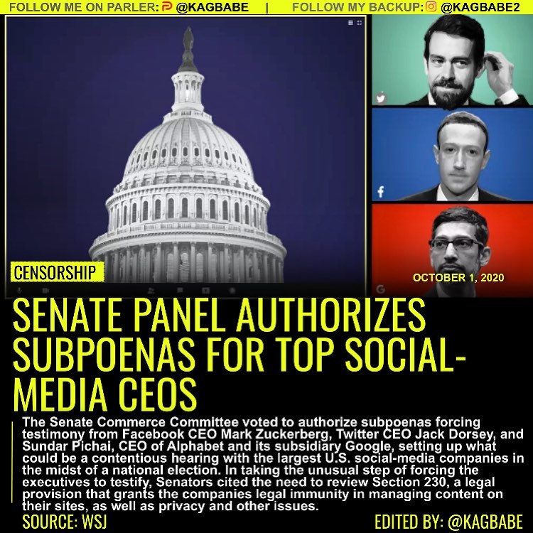 WASHINGTON--The Senate Commerce Committee voted to authorize subpoenas forcing t...