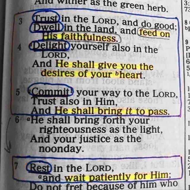 Amen to that!⠀⠀
Psalm 37:3-7...