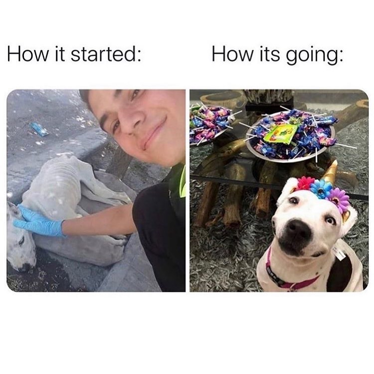 ...