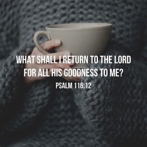 This verse stopped me in my tracks... God is SO good and we should strive to liv...