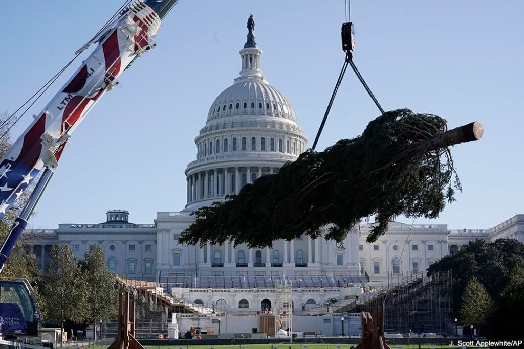 HOME FOR THE HOLIDAYS: The 2020 Capitol Christmas tree is delivered ahead of the...